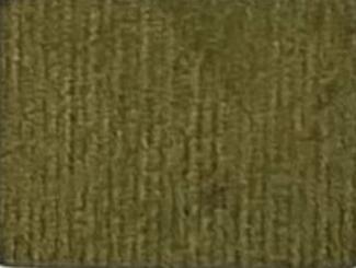 Blackpool jacket RBS