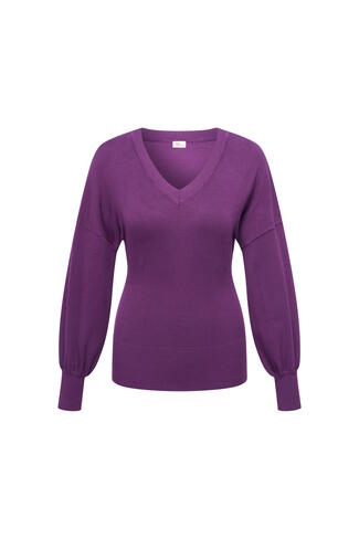 Antigua sweater BRES